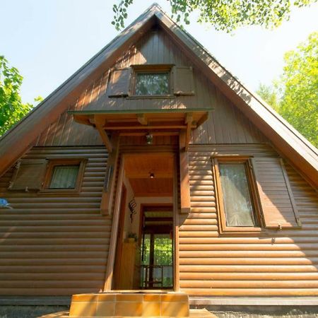 Ferienhaus Ederer Waldmuenchen Luaran gambar