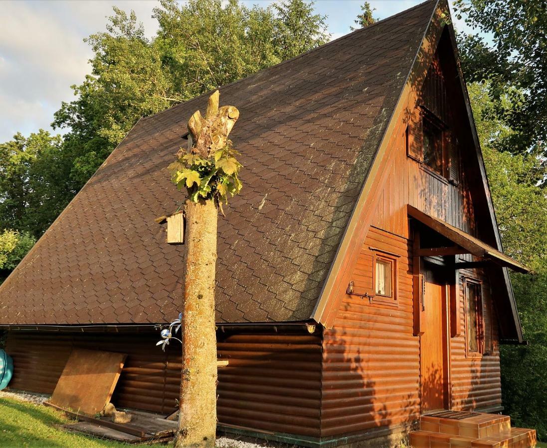 Ferienhaus Ederer Waldmuenchen Luaran gambar