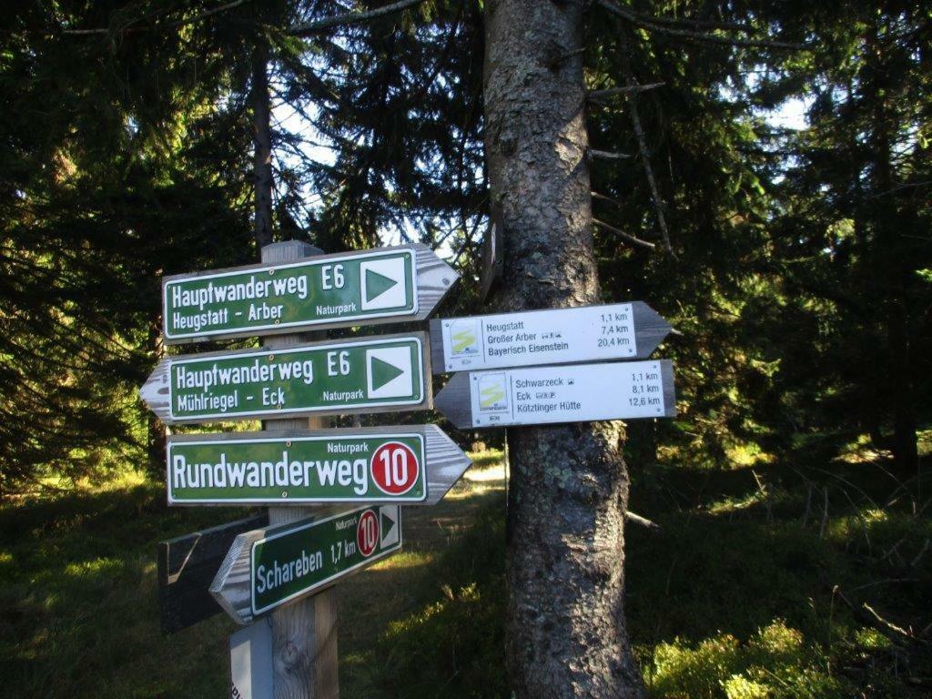 Ferienhaus Ederer Waldmuenchen Luaran gambar