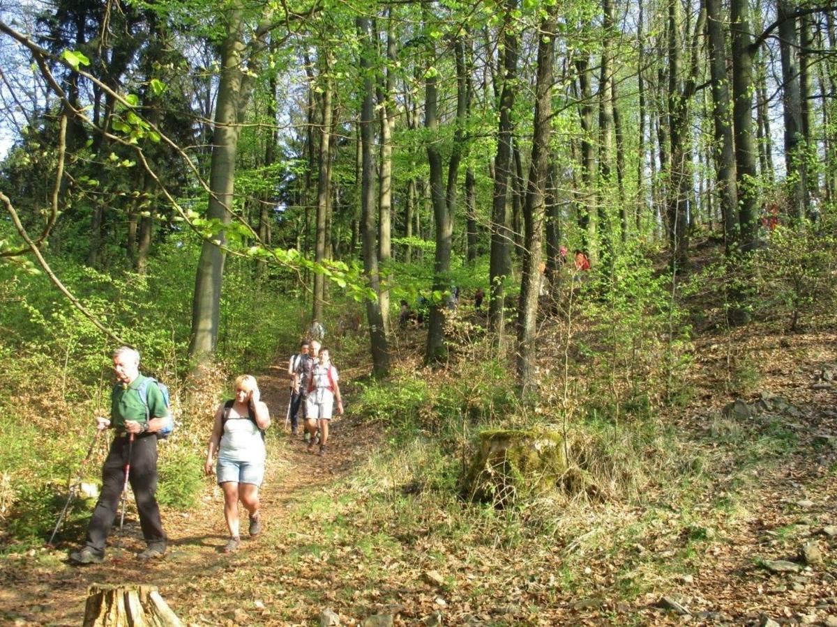 Ferienhaus Ederer Waldmuenchen Luaran gambar
